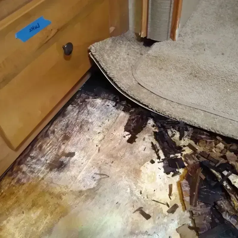 Wood Floor Water Damage in Wimauma, FL